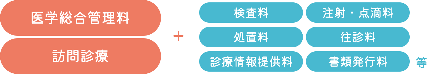 医学総合管理料 訪問診療 + 検査料 注射・点滴料 処置料 往診料 診療情報提供料 書類発行料 等